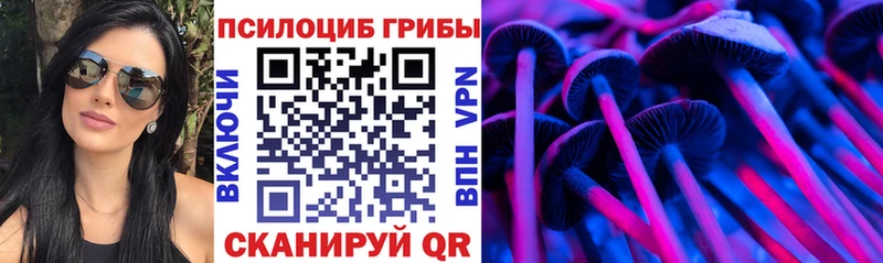 Псилоцибиновые грибы Psilocybine cubensis  MEGA онион  Нахабино 